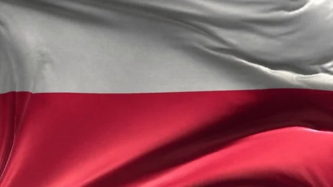 Flag of Poland 3D Loop Stock Footage 119069559
