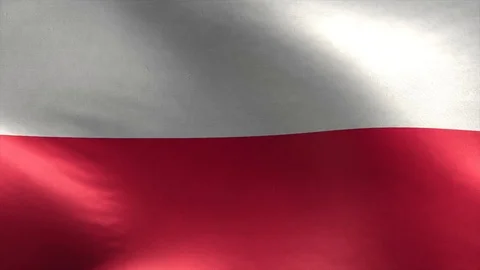 Flag of Poland 3D Loop Stock Footage 119070357