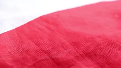 Flag of Poland and ears of wheat , grain harvest and Poland Stock Footage 265013146