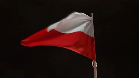 Flag of Poland Blowing in the Wind at Night Slow Motion Video stock 227345375