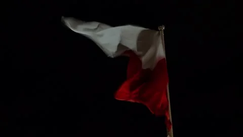 Flag of Poland Blowing in the Wind at Night Slow Motion Stock Footage 227346044