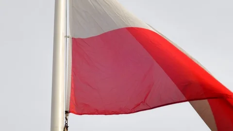 Flag of Poland Blowing in the Wind Slow Motion Stock Footage 129538601