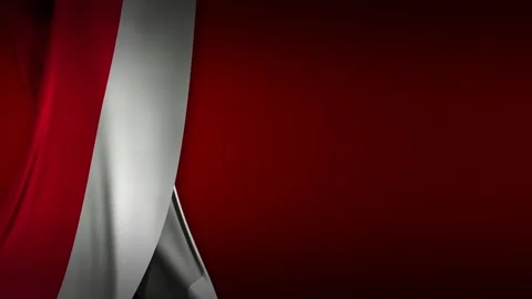 Flag of Poland curtain banner subtle wave seamless loop high res 4K red back Stock Footage 321836750