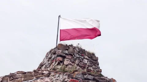 The flag of Poland develops in the wind against the sky Stock Footage 158735041