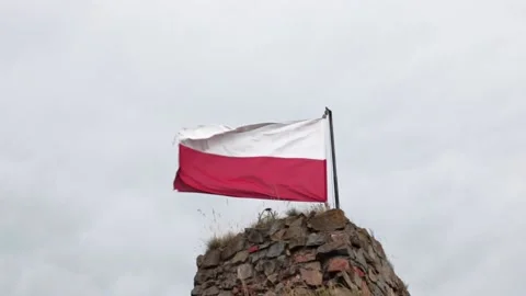 The flag of Poland develops in the wind 動画素材 159026809