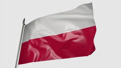 Flag of Poland on a flagpole. 3D animation with alpha channel Vídeo Stock 206068138