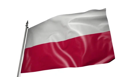 Flag of Poland on a flagpole. Animation 3D on a white background 스톡 동영상 219747051