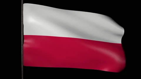 The flag of Poland flutters in the wind. 3d animation Vídeo Stock 163846469