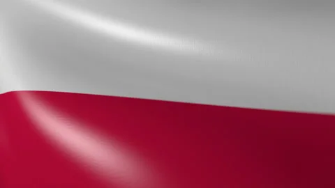 The flag of Poland flutters in the wind. 3d animation Video stock 163846532