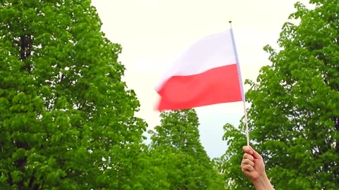 Flag of Poland flutters in the wind in the hand of a man. Stock Footage 241939329