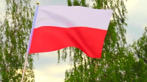 Flag of Poland flutters in the wind in the hand of a man. Stock Footage 241939333