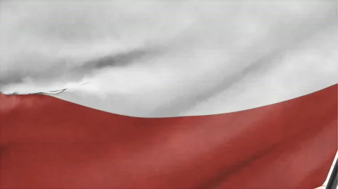 Flag of Poland Stock Footage