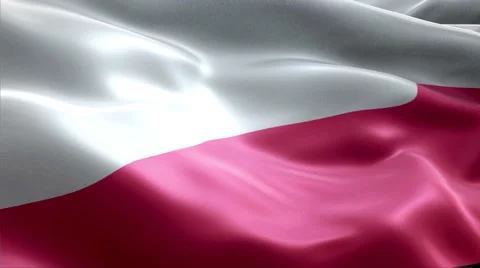 Flag Poland Vídeos de archivo 47763967