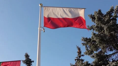 Flag of Poland Stock Footage 124521448
