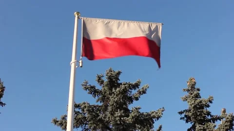 Flag of Poland Stock Footage 124521466