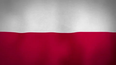 Flag Poland Stock Footage 144036087