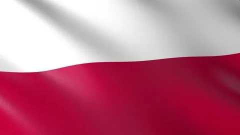 Flag of Poland Video stock 151572535