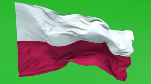 Flag of Poland on Green Screen 4K Video Footage Stock Footage 305381146