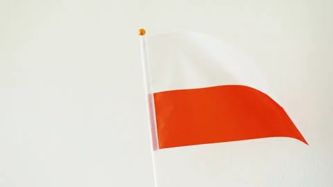 Flag of Poland hand on a chalkboard background. Polish language and culture conc Video stock 308019288