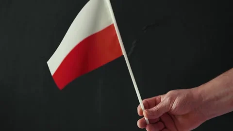 Flag of Poland hand on a chalkboard background. Polish language and culture conc Video stock 309412893
