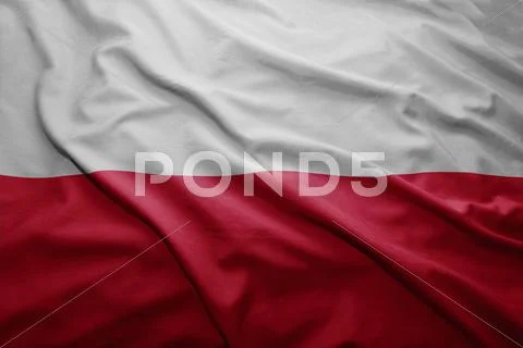 Flag of poland Stock Illustration