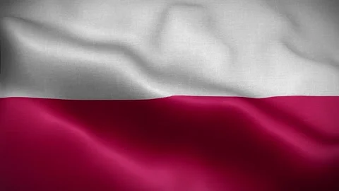 Flag of Poland Loop 3D Stock Footage 138741755