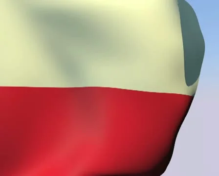 Flag of Poland PAL Stock Footage 14728051