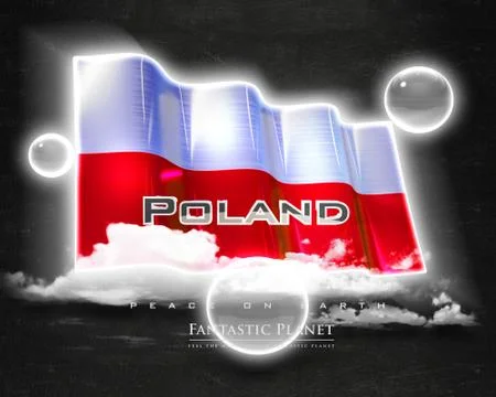 Flag Poland quality designer flag Stock Illustration