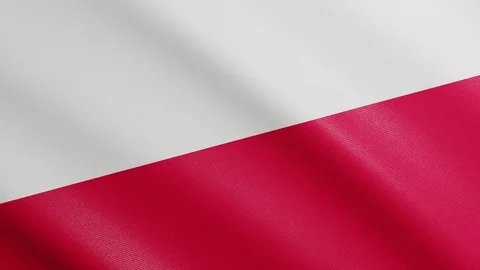 Flag of Poland with Realistic Fabric Texture Waving in the Wind. Polish Flag Video stock 129166463