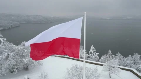 Flag of Poland waves gently in winter wind with tranquil lake and snowy trees Stock Footage 321689818