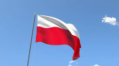 The flag of Poland Waving on the Wind. Video stock 47582903