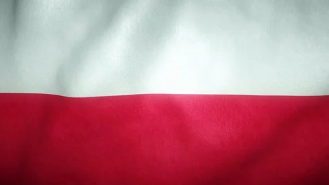 Flag of poland waving in the wind Stock-Footage 125830585