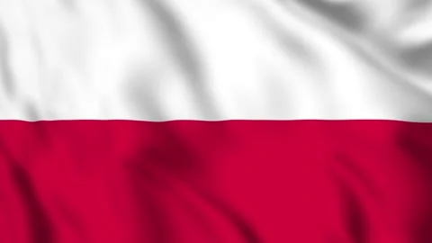 Flag of Poland Waving in the Wind - Looping Animation Stock-Footage 246827039