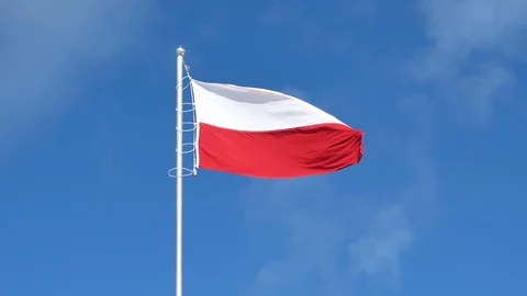 Flag of poland in the wind against sky Vidéo 94989315