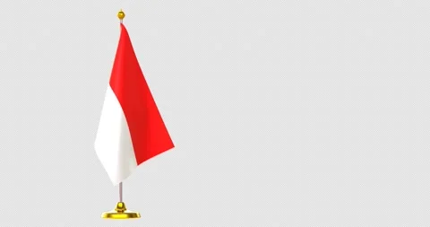 Flag on pole for countries summit Stock Footage 210530648