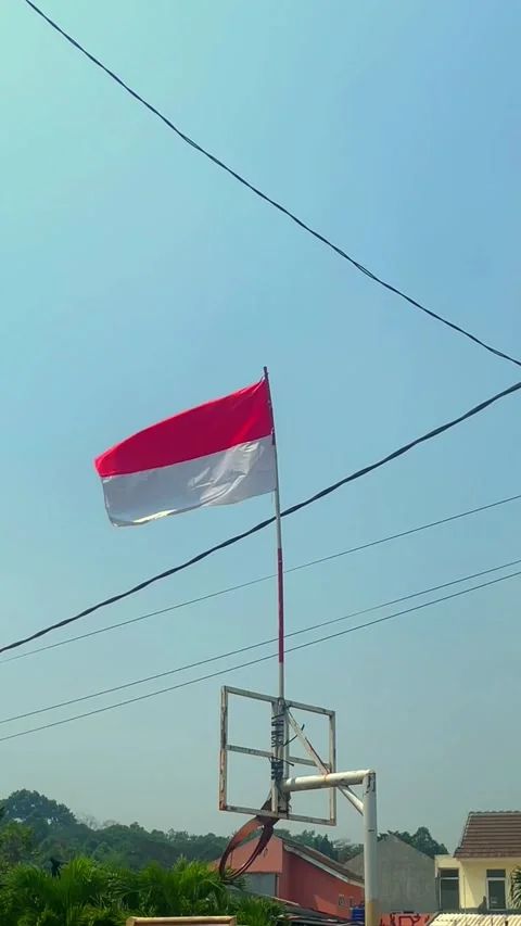 Flag on Pole in Open Sky Brushing Against Wires and Basketball Hoop Видео 344608036