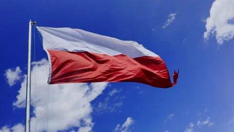 Flag of Polish Stock Footage 282064054