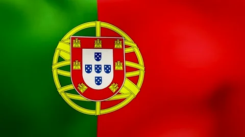 Flag of Portugal flying in the wind Stock-Footage 160855313