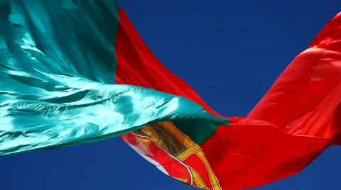 Flag of Portugal Stockbeeldmateriaal 773291