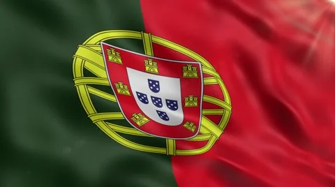 Flag of Portugal Stock Footage 49222331