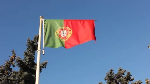 Flag of Portugal Видео 124521457
