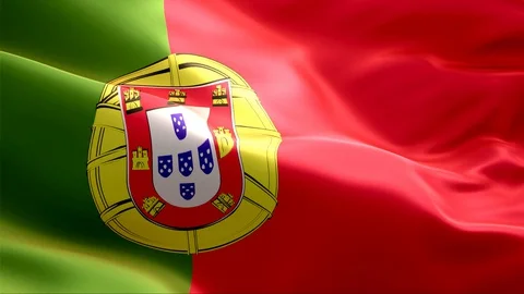 Flag of Portugal waving in the wind. Stock Footage 129291164