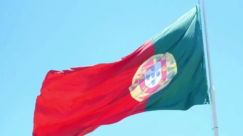 Flag Portugal wind 스톡 동영상 94124071