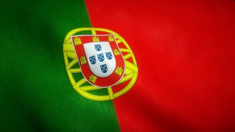 Flag of portugal in the wind Stock-Footage 121769276