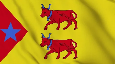 Flag of the Principality of Laas Stock Footage 310273350