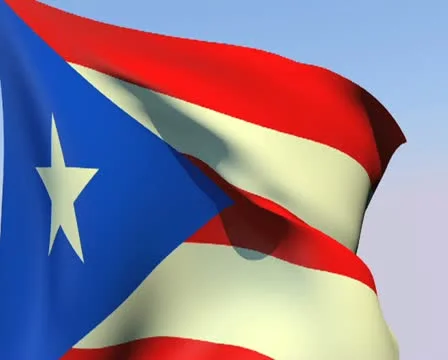 Flag of Puerto Rico PAL Stock Footage 14748238