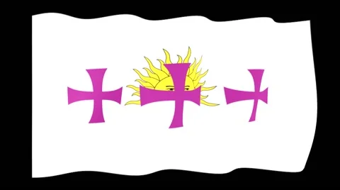 Flag of the race.  Waving (PNG) computer animatie. Stock Footage 58484536