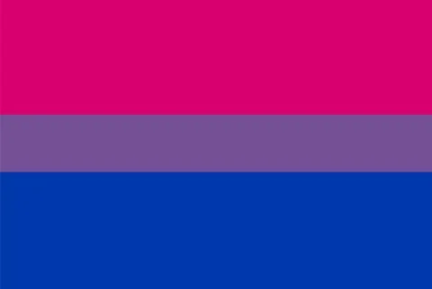 Flag, rectangular shape icon on white background Illustrazione stock