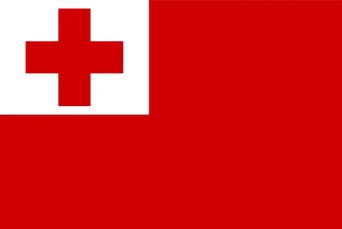 Flag rectangular shape, rectangular shape icon on white background Illustrazione stock