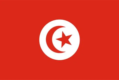 Flag rectangular shape, rectangular shape icon on white background Illustrazione stock